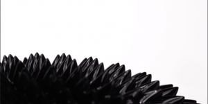 Abstract Black Ferrero Begin movement shiny spike white