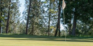 Golf Hole flag grass shadow Sky tree