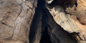 Hide And Seek cave dirt log tree whole