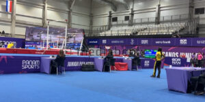 Gymnastics, Rings, Olympics, Gymnasticts routine